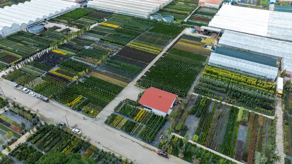 西平合水骨伤医院骨伤科诊疗特色与核心技术解析