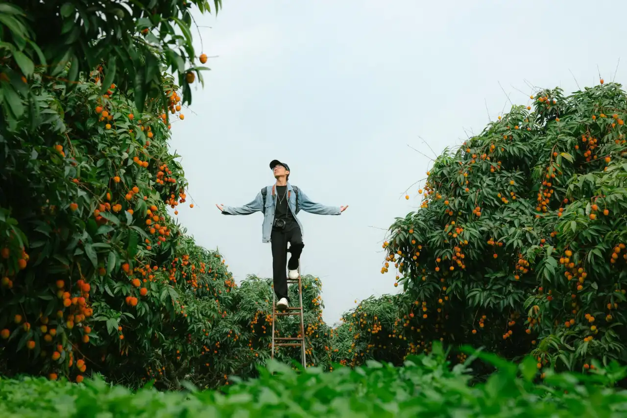 西平合水骨伤医院解析：骨科骨伤治疗中常见骨折类型的规范化处理流程