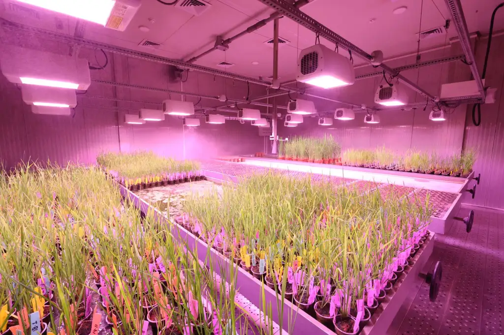 西平合水骨伤医院骨伤科特色疗法与传统手术效果对比分析