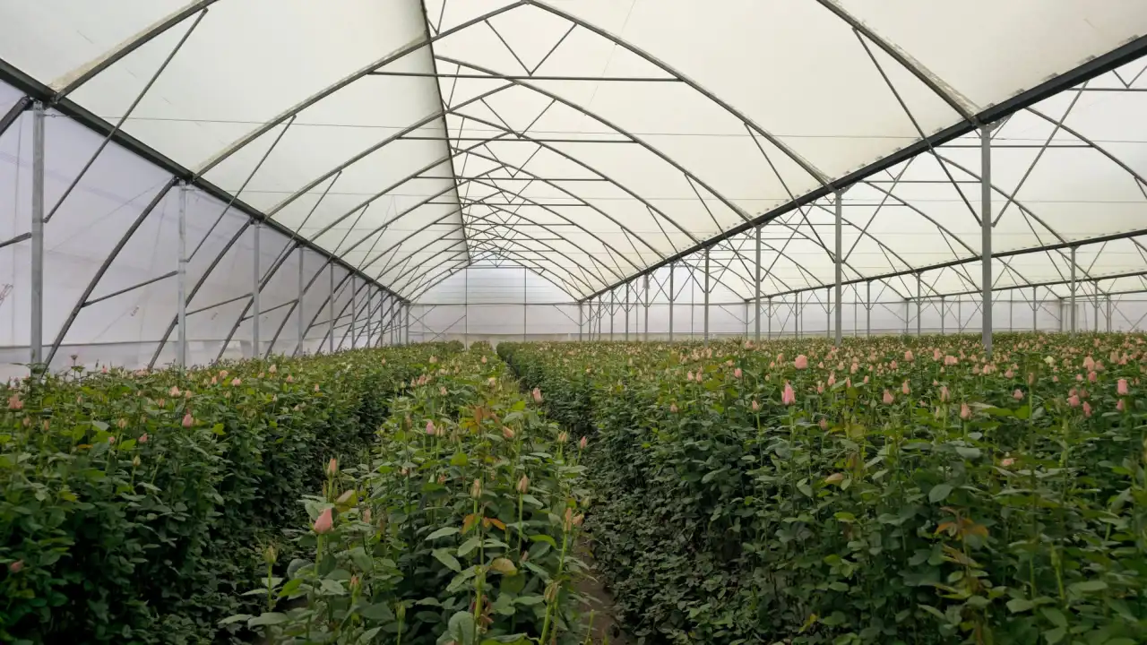 西平地区骨科康复理疗技术的临床应用与效果评估