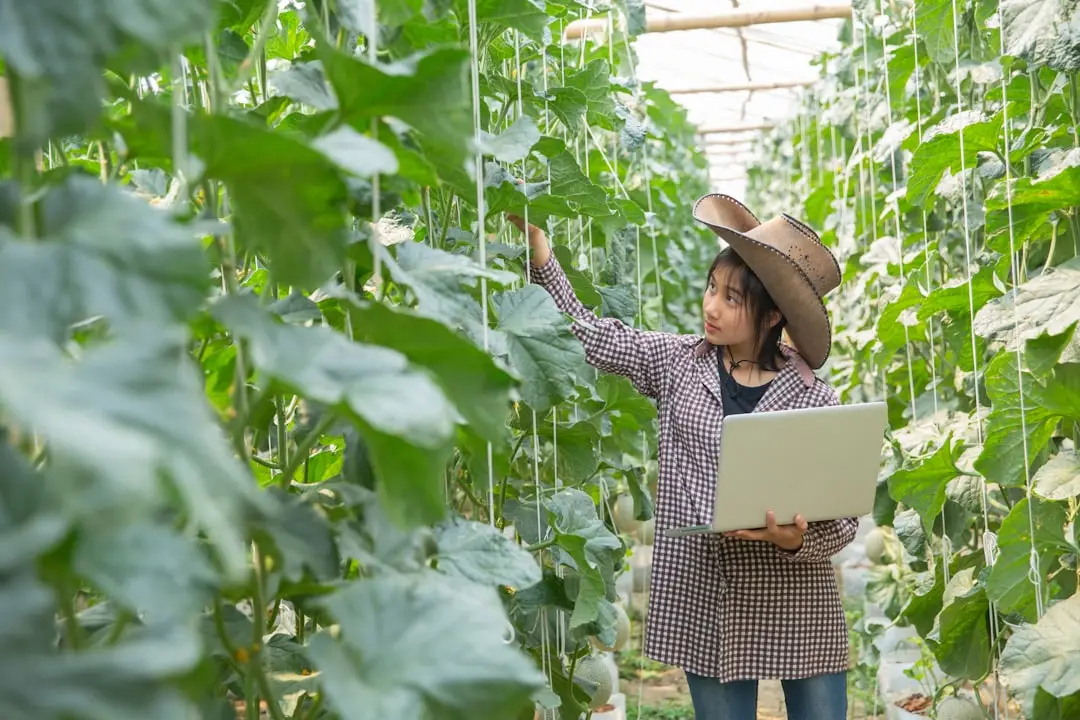 骨科常见创伤后功能恢复的康复治疗方案设计与实施要点