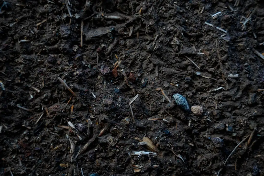 西平合水骨伤医院骨伤科康复理疗新技术的临床应用解析