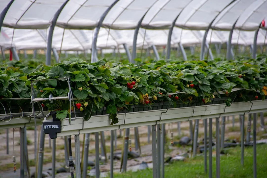 西平合水骨伤医院骨伤科诊疗项目及特色疗法全解析