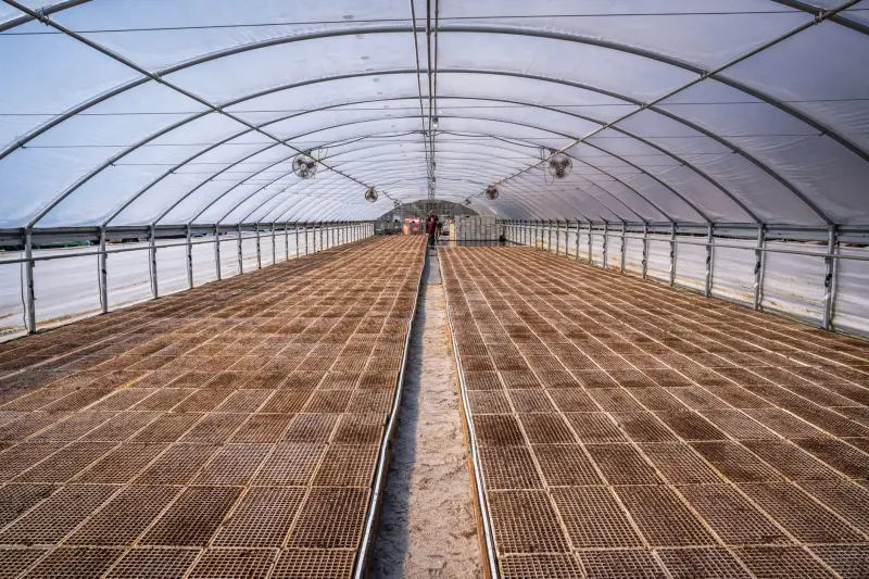 西平合水骨伤医院康复理疗技术在骨伤术后功能恢复中的应用分析
